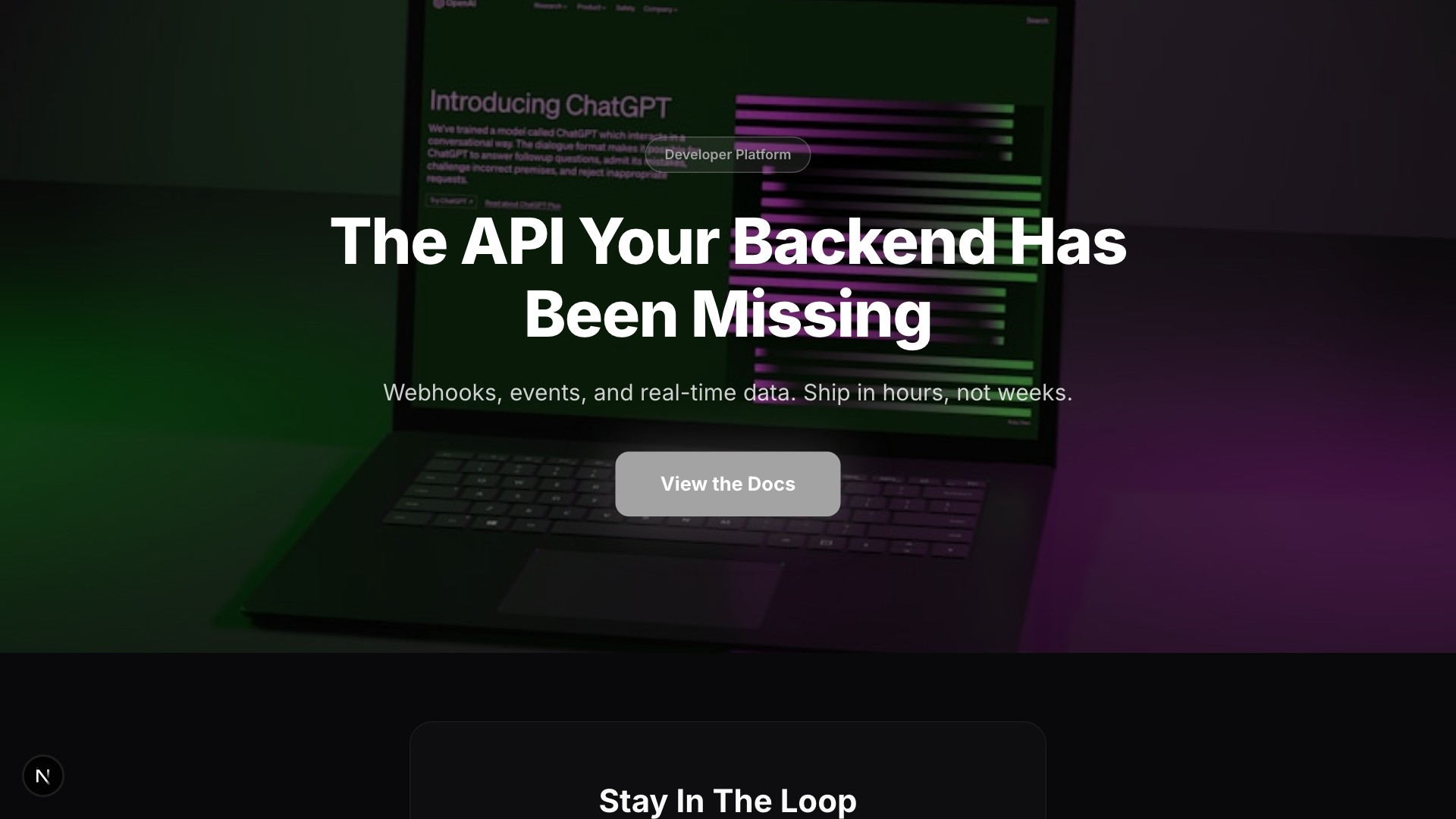 Hook — API Developer Tool template preview